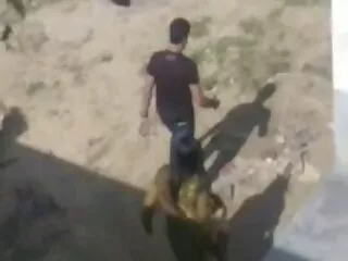 Gái Đền bao tòa nhà này bởi vì cô ấy và cướp bạn bè muốn cướp nó. Cô ấy bị phim sex vú to nhật bản bắt bởi chủ sở hữu và đã nhận ra khỏi rắc rối. Anh xé mặt cô, bịt miệng cô ấy và bị dồn nén với cái băng vệ sinh.