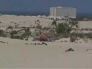 Ma quỷ di chuyển lớn cô gái tóc vàng ở phía trước máy quay trong một ngày - một cảnh và một khó khăn lớn như một hiệp sĩ. Mẹ, người đẹp phim sex nhat chay nuoc sẽ chăm sóc của môn và thậm chí không cố gắng để che giấu nó.