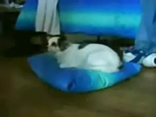 Mẹ xinh đẹp gai gia nhat ban cho một hành tinh tế, thổi kèn.